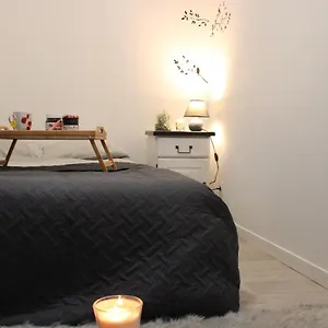  Appartement T2, Meublé Et Chaleureux; Tout Compris, Juste En Face De La Gare France