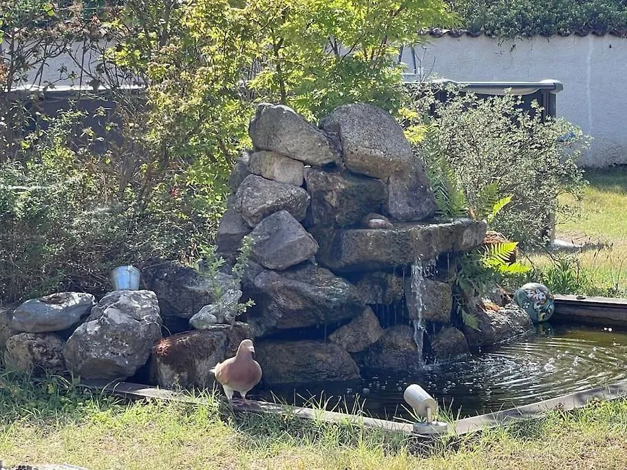 Les Lys De Rosie - Maison Familiale De Plain Pied Campagne Boisset-lès-Montrond فرنسا
